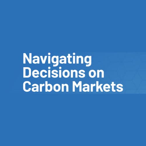 Navigating Decisions on Carbon Markets